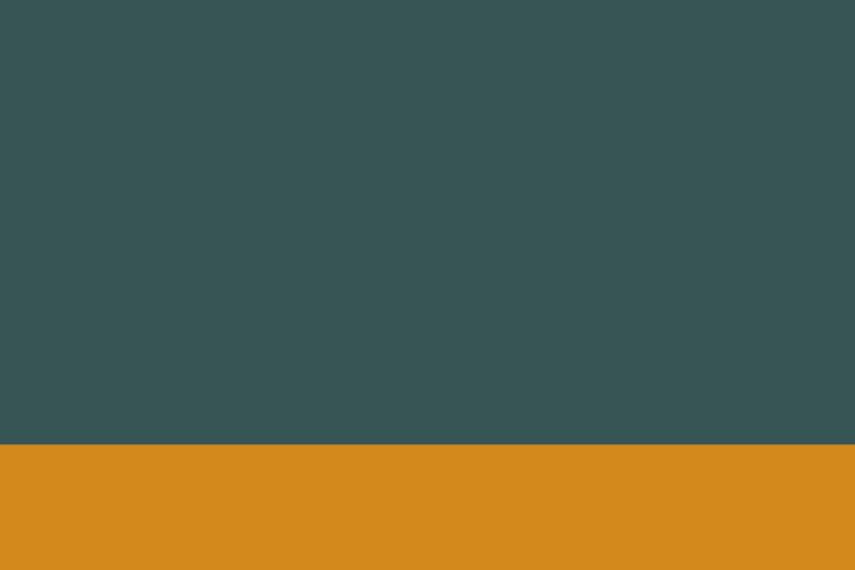 Live Online Class — Zoom