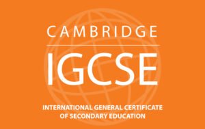 IGCSE Tutoring: A Practical Guide for Students and Parents